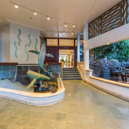 @ Marbella Lane - Oceanview Suite Steps To Beach Honolulu Eksteriør bilde
